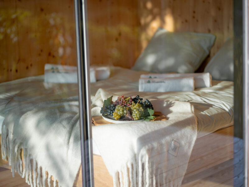 Tiny house Ve vinohradu