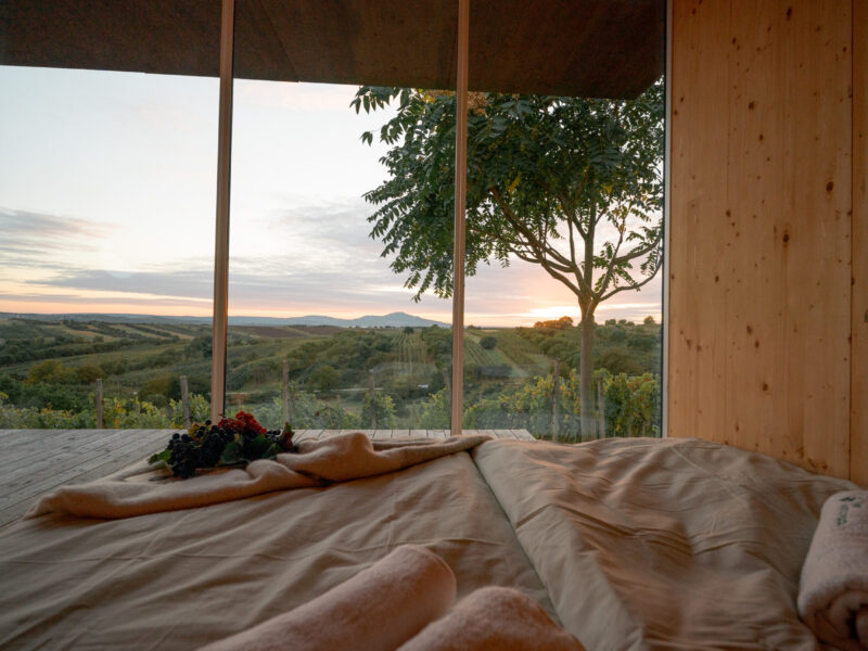 Tiny house Ve vinohradu